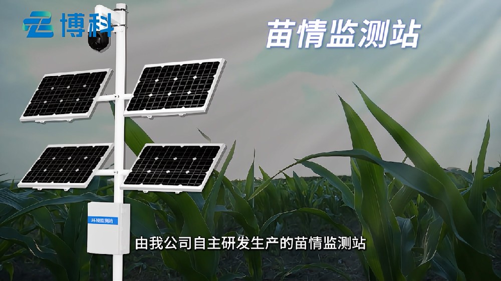 苗情監(jiān)測(cè)系統(tǒng)掌握田間苗情、病蟲害、災(zāi)情情況